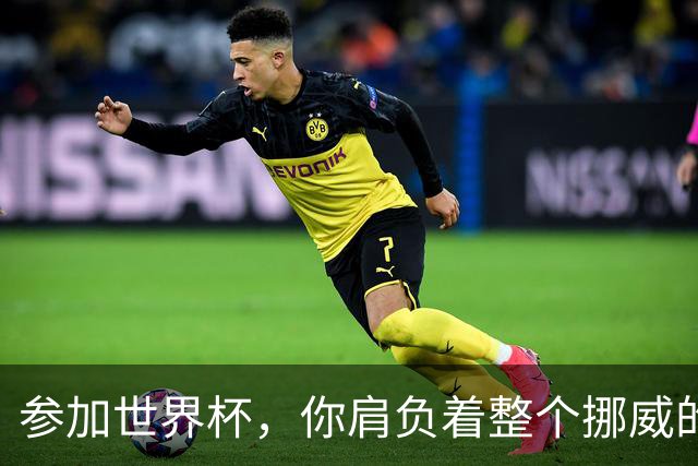 参加世界杯，你肩负着整个挪威的期望！哈兰德：我喜欢这样